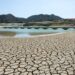 España recibirá este martes los 81 millones de la reserva agrícola de la UE por la sequía