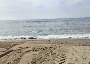 Hallan fallecido a un hombre en una playa de Torre del Mar