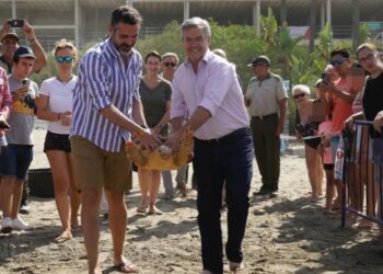 Devuelta al mar otra tortuga boba recuperada, la décima en este año
