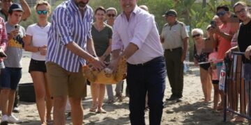 Devuelta al mar otra tortuga boba recuperada, la décima en este año