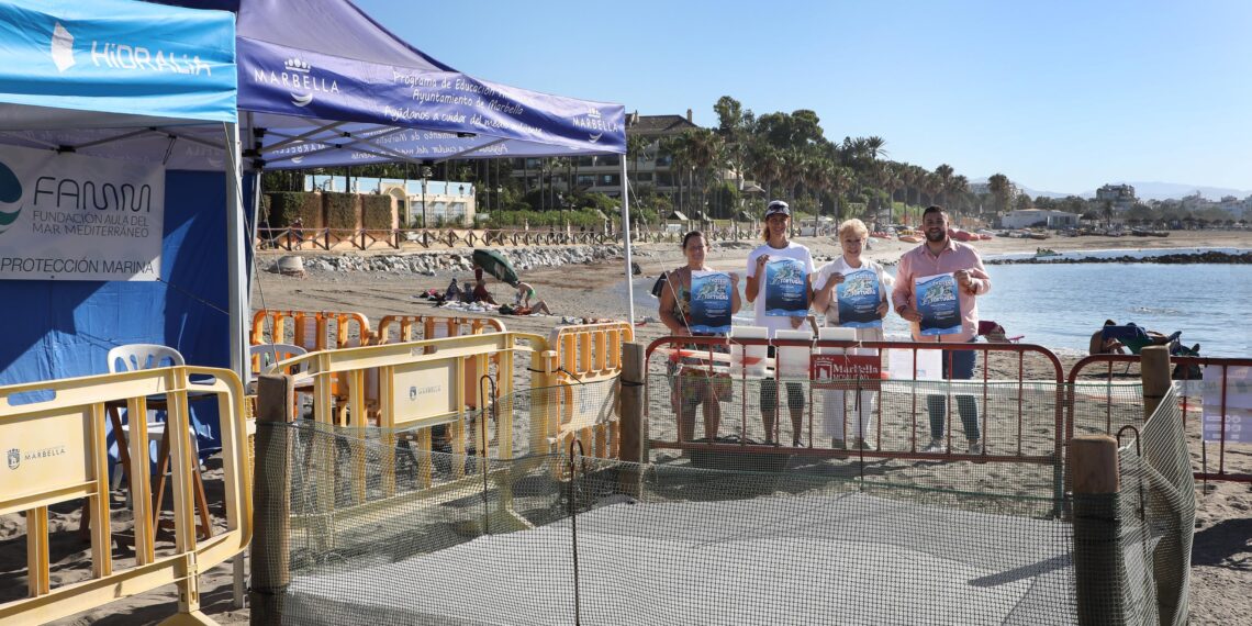 La playa bajo el hotel Gualdapín Banús, con un nido con 60 huevos de tortuga boba