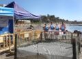 La playa bajo el hotel Gualdapín Banús, con un nido con 60 huevos de tortuga boba