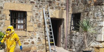 La avispa asiática provoca el cierre del monumento del Castillo
