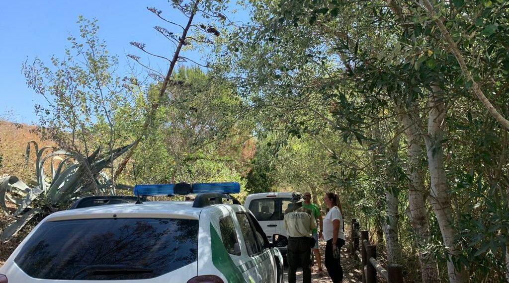 Alguien está envenenando los árboles de La Peñuela en Manilva
