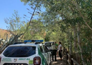 Alguien está envenenando los árboles de La Peñuela en Manilva