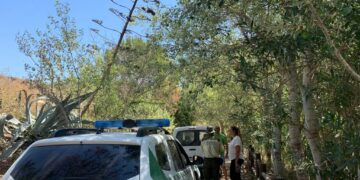 Alguien está envenenando los árboles de La Peñuela en Manilva