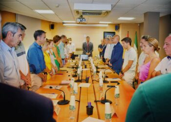 La Mancomunidad tendrá dos vicepresidencias y cuatro delegaciones