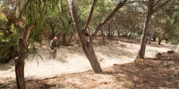 Estepona realiza el mantenimiento y desbroce de más de 100 kilómetros de caminos rurales y parcelas