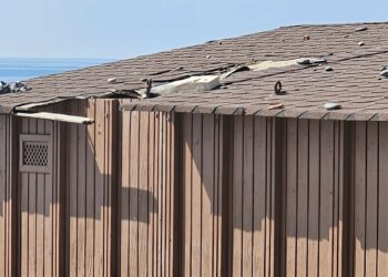 El PSOE de Estepona denuncia el estado de las playas