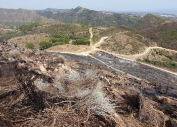 Extinguido el incendio forestal declarado ayer en un paraje de Ojén