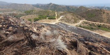 Extinguido el incendio forestal declarado ayer en un paraje de Ojén