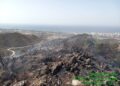 Extinguido el incendio forestal de Ojén