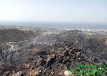 Extinguido el incendio forestal de Ojén