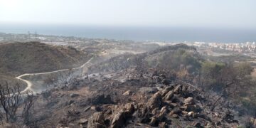 Extinguido el incendio forestal de Ojén