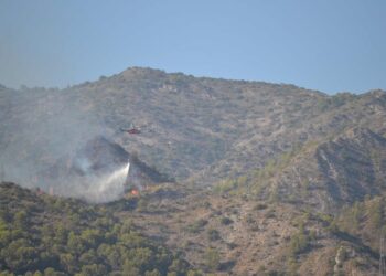 Estabilizado el incendio forestal declarado en un paraje de Marbella