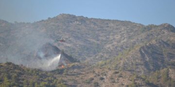 Estabilizado el incendio forestal declarado en un paraje de Marbella