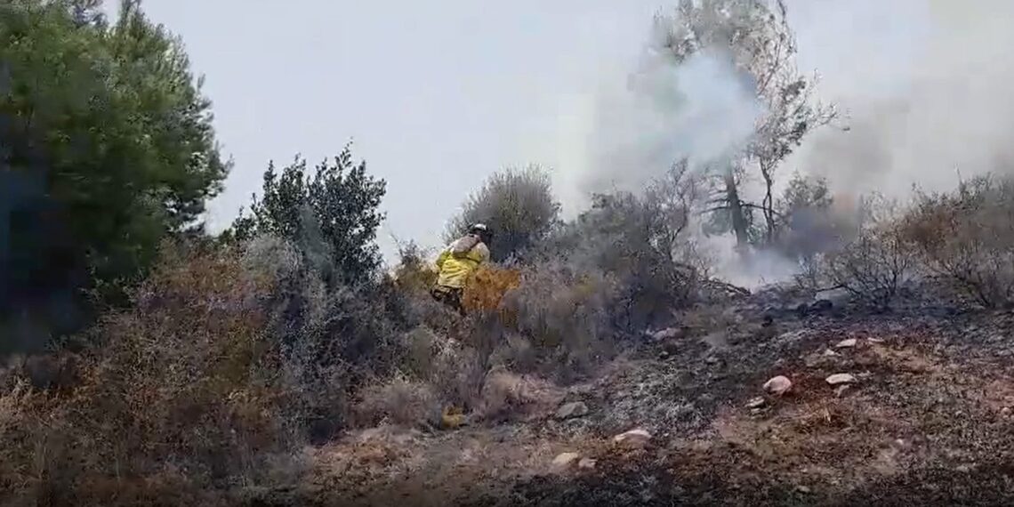 Estabilizado el incendio forestal declarado en el paraje entre Ojén y Marbella