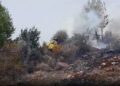 Estabilizado el incendio forestal declarado en el paraje entre Ojén y Marbella