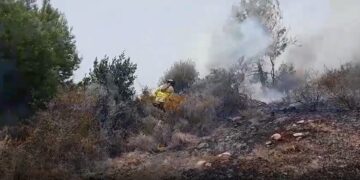Estabilizado el incendio forestal declarado en el paraje entre Ojén y Marbella