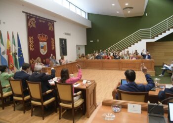 Torremolinos insta a Gobierno a estudiar aumento de frecuencia de Cercanías y mayor inversión para mantenimiento