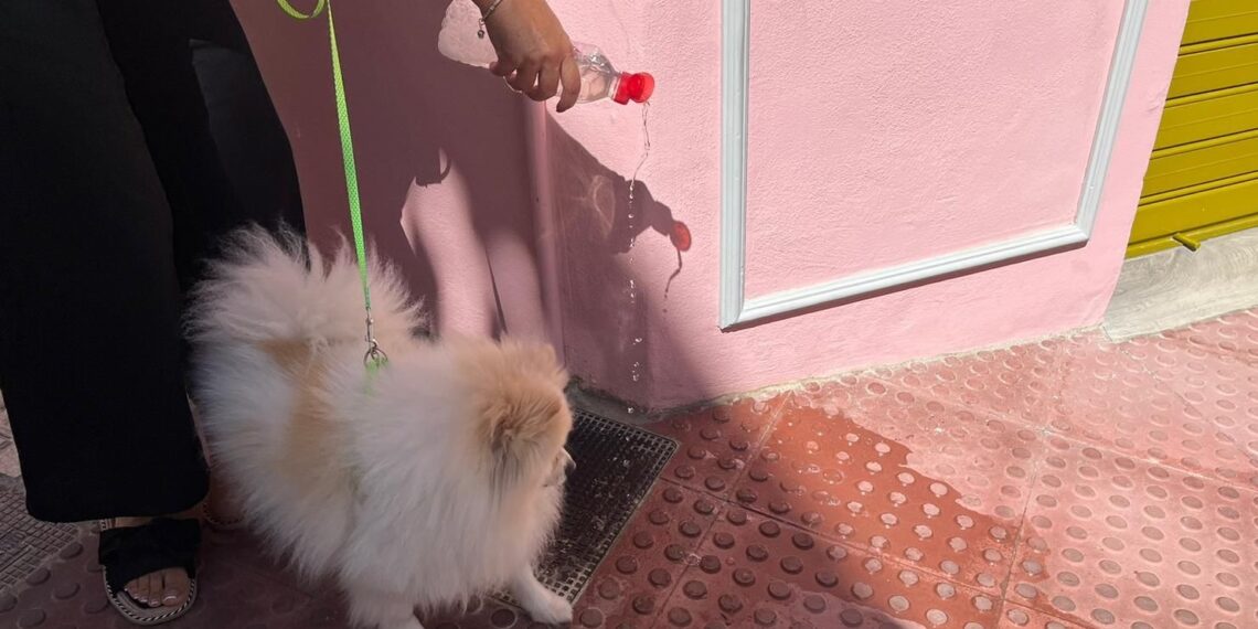 La Policía Local de Mijas levanta más de 400 actas por no recoger los excrementos y diluir la orina de las mascotas en la vía pública