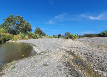 Verdermar Ecologistas en Acción protesta por «los robos de agua» al río Guadiaro para riegos en secano