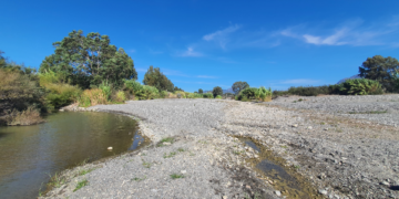 Verdermar Ecologistas en Acción protesta por «los robos de agua» al río Guadiaro para riegos en secano