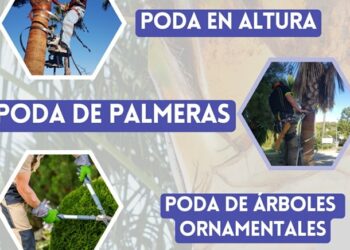 El Ayuntamiento de Manilva pone en marcha un curso gratuito especializado en poda