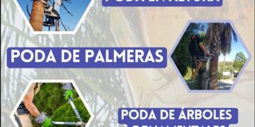 El Ayuntamiento de Manilva pone en marcha un curso gratuito especializado en poda