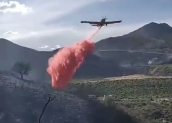 Controlado el incendio forestal de Benahavís