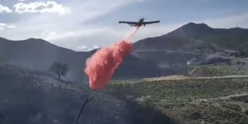 Controlado el incendio forestal de Benahavís