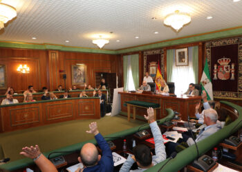 El Pleno marbellí aprueba ceder a la Junta una parcela para un intercambiador en San Pedro Alcántara