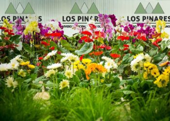El vivero de Torremolinos oferta en octubre cursos de iniciación de cultivos de plantas de flor y de orquídeas