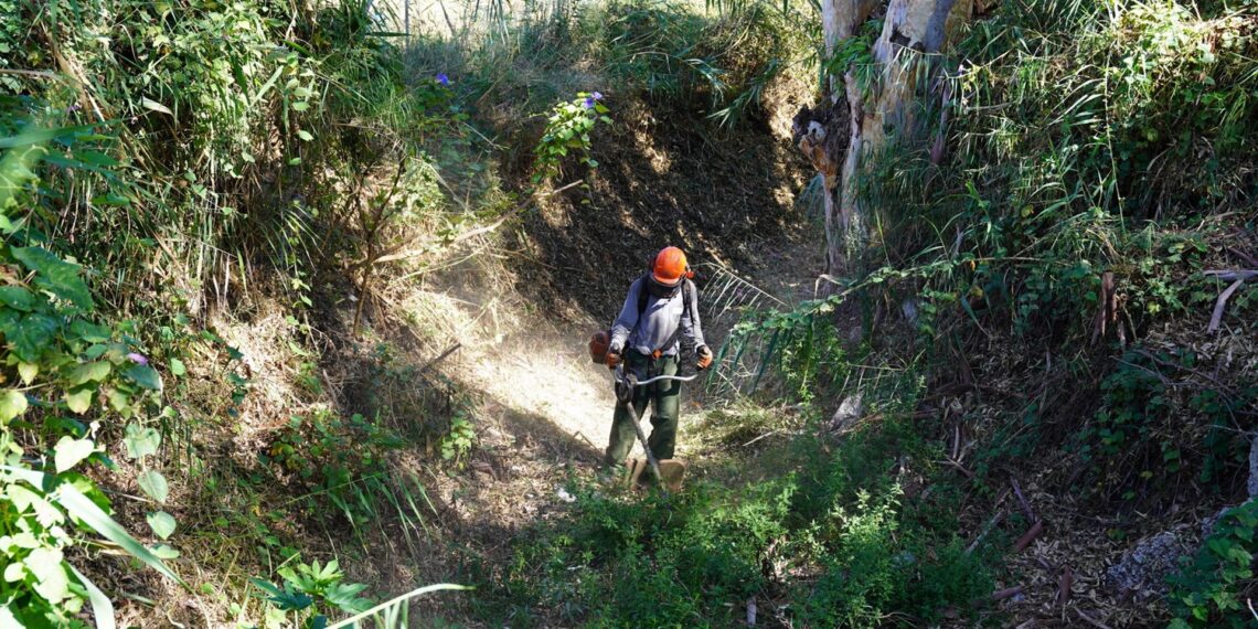 Estepona comienza a desbrozar para prevenir inundaciones en cauces de una veintena de ríos y arroyos