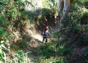 Estepona comienza a desbrozar para prevenir inundaciones en cauces de una veintena de ríos y arroyos