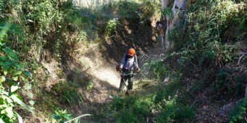 Estepona comienza a desbrozar para prevenir inundaciones en cauces de una veintena de ríos y arroyos