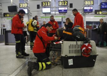 Un primer contingente de bomberos del Consorcio Provincial, preparado para ayudar tras terremoto en Marruecos