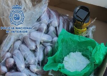 Dos detenidos en Marbella por transportar en un vehículo 70 bellotas de hachís ocultas en una caja de zapatos