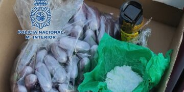 Dos detenidos en Marbella por transportar en un vehículo 70 bellotas de hachís ocultas en una caja de zapatos