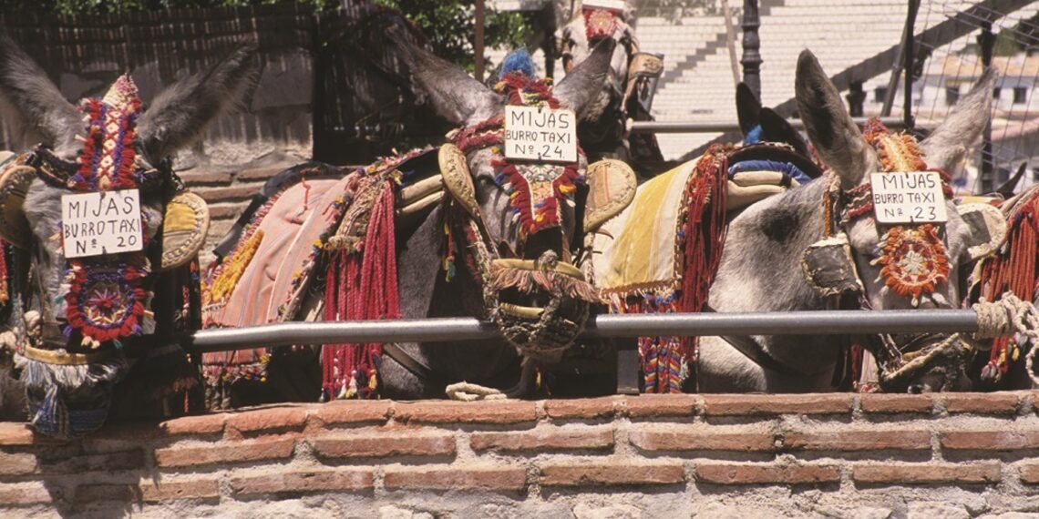Mijas instala sombras en el emplazamiento provisional del servicio de burro-taxi