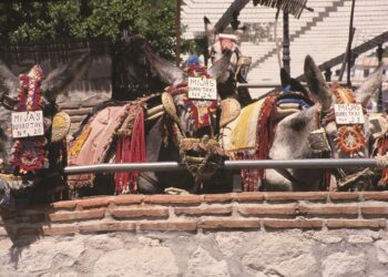 Mijas instala sombras en el emplazamiento provisional del servicio de burro-taxi