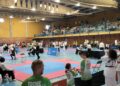 El I Campeonato Promoción Taekwon-Do ITF Estepona 2023 congregó a 300 competidores de distintos puntos de Andalucía