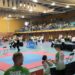 El I Campeonato Promoción Taekwon-Do ITF Estepona 2023 congregó a 300 competidores de distintos puntos de Andalucía