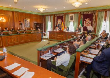 Marbella solicitará al Gobierno que permita el uso del anexo al Hospital Costa del Sol como Escuela de Enfermería y centro residencial para sanitarios