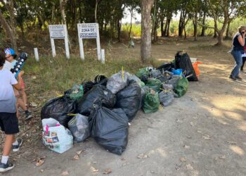 451 kilos de basura recogidos en el Descansadero del río Padrón