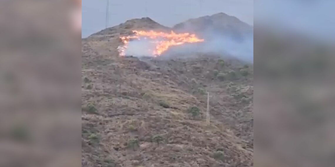 Declarado un incendio forestal en Sierra Bermeja