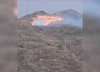 Declarado un incendio forestal en Sierra Bermeja