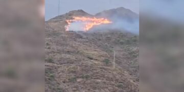 Declarado un incendio forestal en Sierra Bermeja