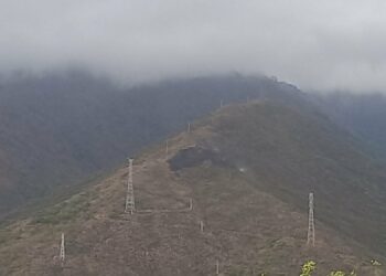 Controlado el incendio forestal de Sierra Bermeja
