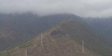 Controlado el incendio forestal de Sierra Bermeja